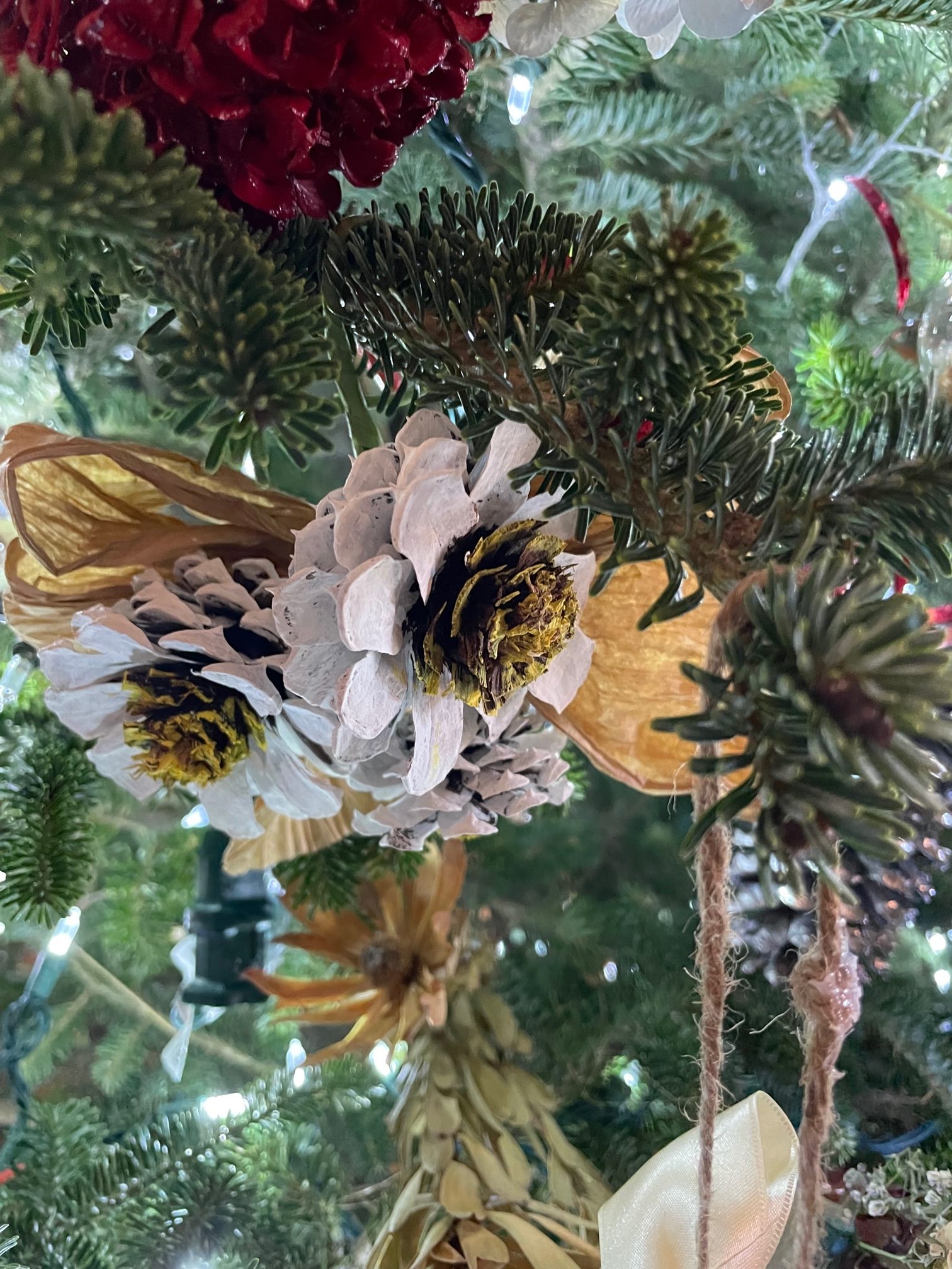 Nature Inspired Christmas Display Comes to Bogalusa City Hall The