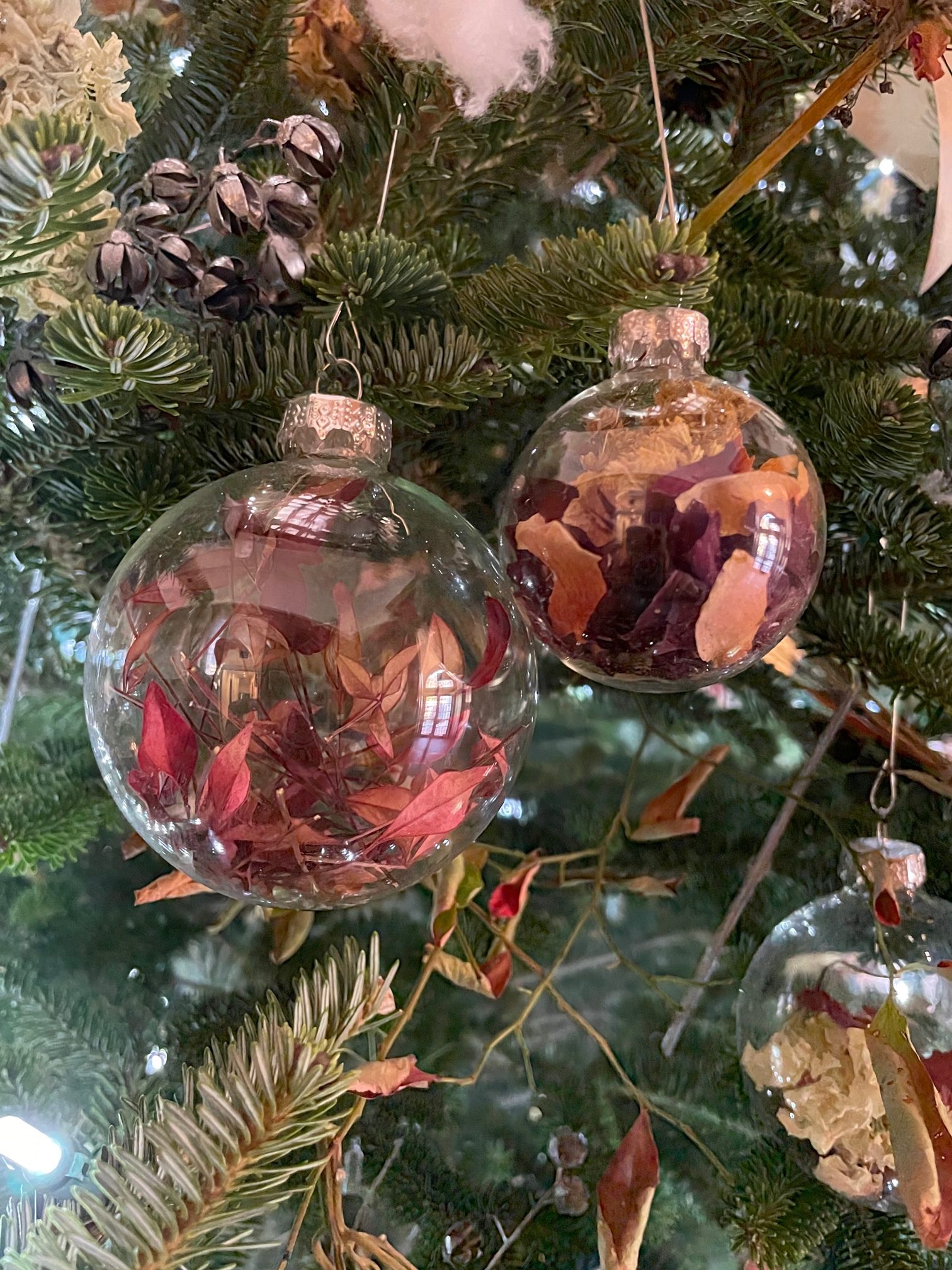 Nature Inspired Christmas Display Comes to Bogalusa City Hall The