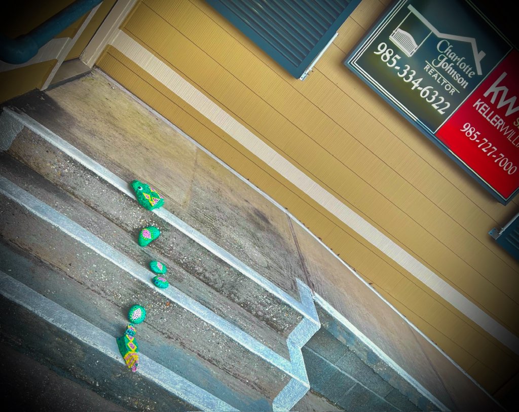 Painted rock snake growing in Cassidy Park The Bogalusa Daily News The Bogalusa Daily News