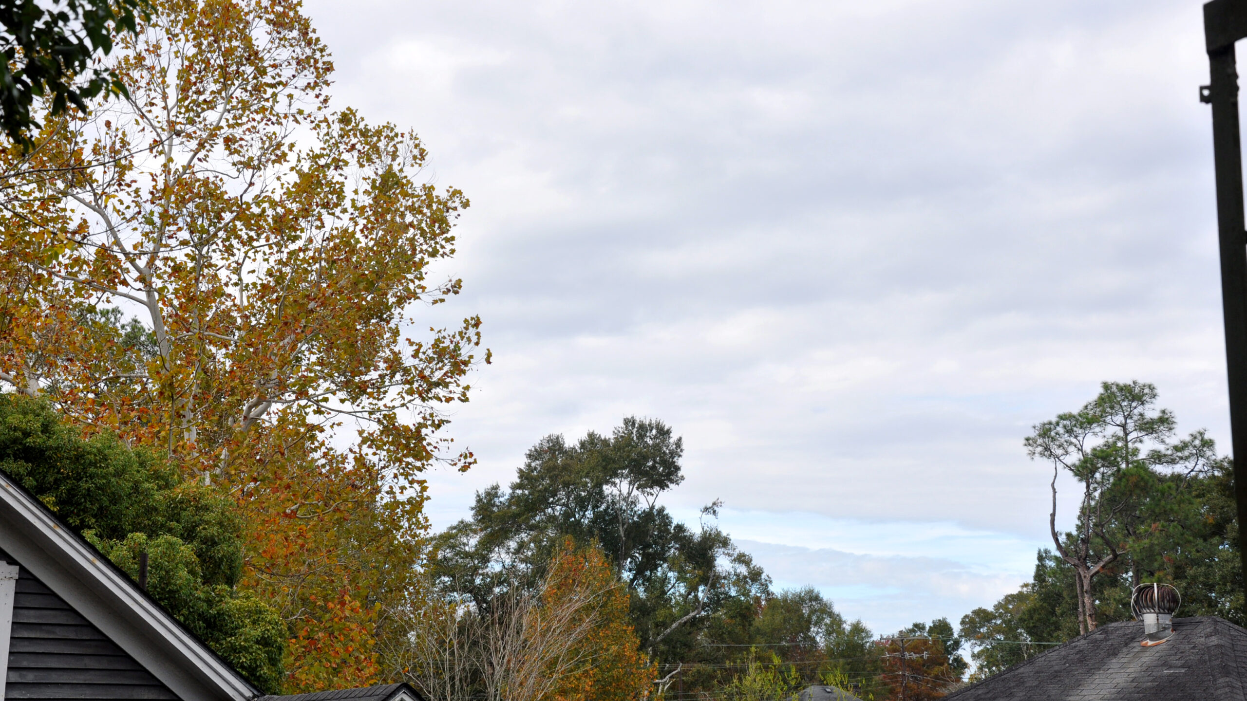 November 2023 Weather Washington Parish Outlook The Bogalusa Daily