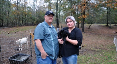Boyd and Kandra Giannini with one of their surviving baby goats on their farm in Franklinton.